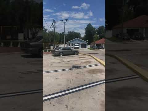 DMR news the trisexual / gypsy di fortune teller