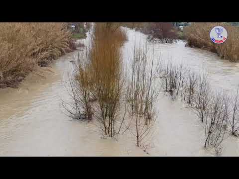 FIUME ARBIA IN PIENA - 18/02/2018