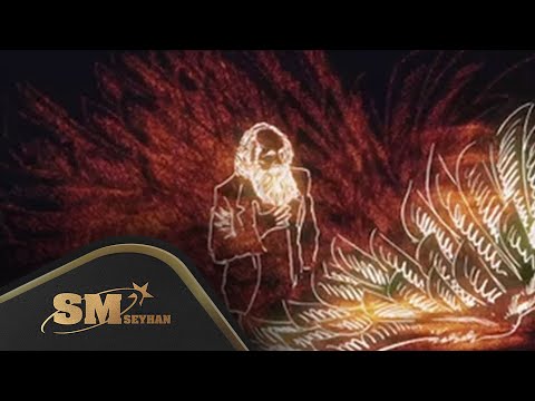 Video Yükleniyor...