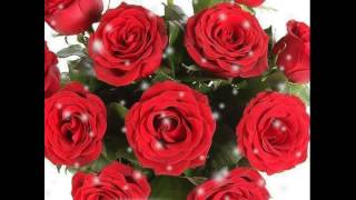 Roses ( Darren Hayes ).