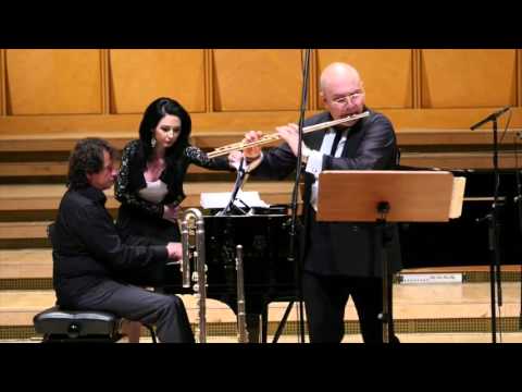 @ionbogdanstefanescu  Mancini - Baby Elephant Walk