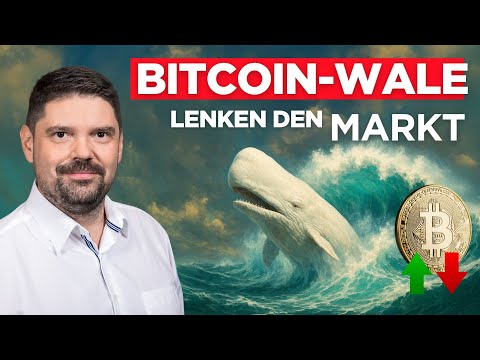 BITCOIN: Big wallets, big impact – how whales control the crypto market