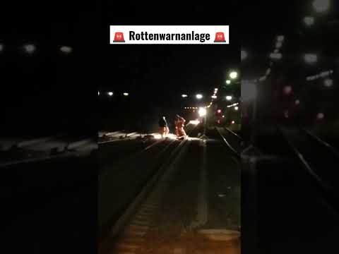 Rottenwarnanlage am Bahnhof Jüterbog (Aus dem Archiv)