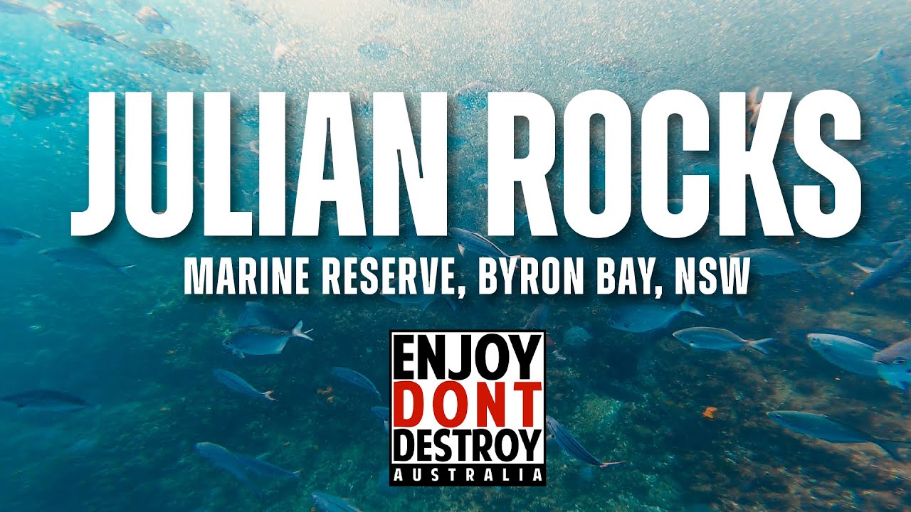 Take a virtual diving tour at Julian Rocks Marine Reserve.