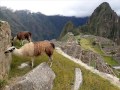 Jhossy Y El Grupo Markahuasi PRIMICIA 2016 Por Tu Amor Lloro