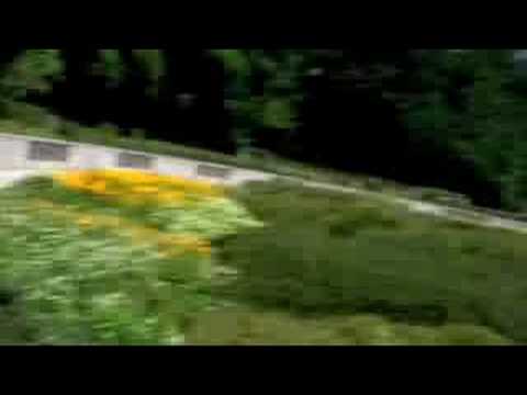 Darmstadt Waldfriedhof