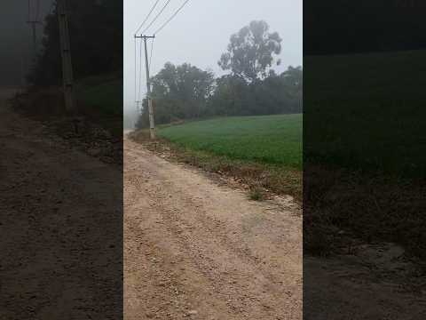caminhada estrada de chão  10k Tibagi Paraná #caminhada #1000subscriber