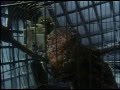 СЕКРЕТНЫЕ ПРИКЛЮЧЕНИЯ МАЛЬЧИКА С ПАЛЬЧИКА The Secret Adventures