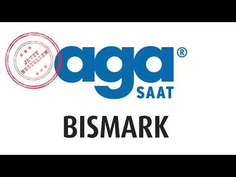 Die Maissorte BISMARK von agaSAAT Hybrid GmbH