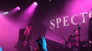 Spector - Grey Shirt &amp; Tie live (Leeds Stylus, 19.10.2012)