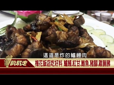  - 保護台灣大聯盟 - 政治文化新聞平台