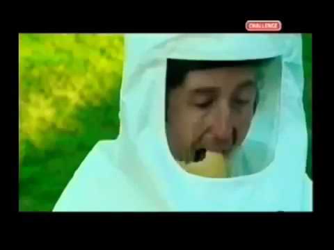 Winn Solicitors Road Traffic Accident Advert (2002)