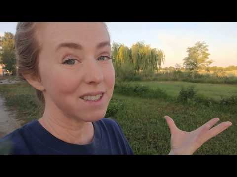 YouTube video about: Where can I buy rowe rabbit feed?