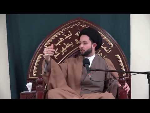 ⁣Increasing Our Bounties through Thankfulness - Sayed Jawad Al Qazwini-