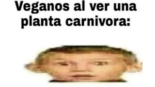 Shitposting Compilation V70