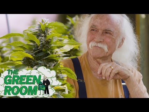 David Crosby on getting the Beatles high and how to roll a proper joint | The Green Room