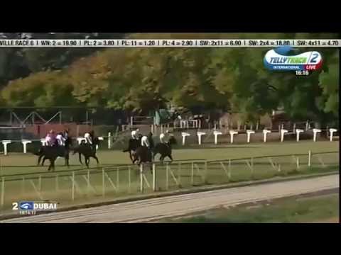 2016.07.31 Thoroughbred Breeders Champagne Stakes (ZIM) - Wylde Style