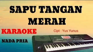 Download lagu SAPU TANGAN MERAH (Yus Yunus) || KARAOKE || COVER DANGDUT KORG PA600 mp3