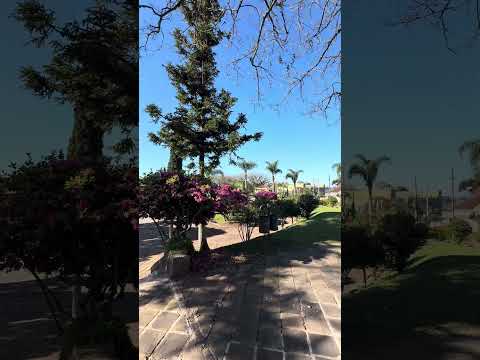 Cotiporã: cultura, natureza e hospitalidade no coração do RS! #cotiporã #riograndedosul #cidade