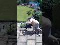 Grandma Falls Down The Stairs
