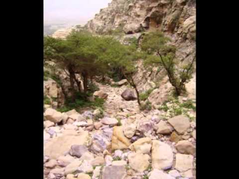 dem cant keep we down