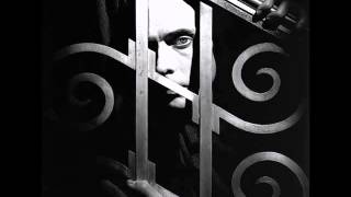 Peter Murphy - Just For Love