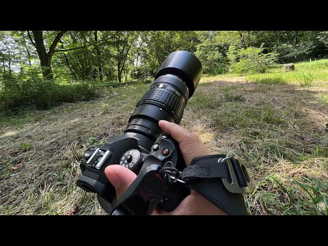 Video thumbnail for Video Review 3