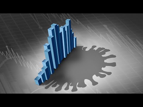 Suomen Pankin tiedotustilaisuus kansainvälisen talouden näkymistä ja rahapolitiikasta 17.9.2020