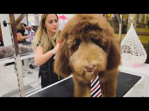 Feelings Productions | Photo, Video and Marketing video.