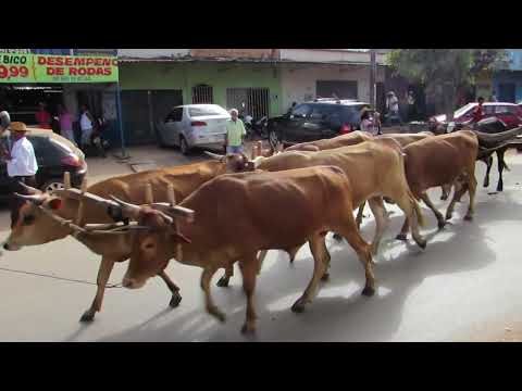 Desfile de Carros de Boi de Santo Antônio do Descoberto/GO