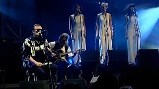 Budka Suflera - Martwe morze (Spodek 99) #BudkaSuflera