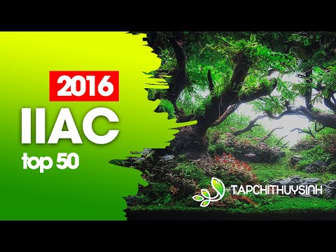 TOP 50 - IIAC 2016 - ISTA International Aquascaping Contest 2016