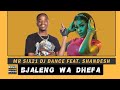 Mr Six21 DJ Dance - Bjaleng Wa Dhefa Feat. Shandesh (Original)