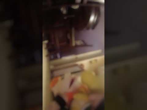 junior.avi (Real clip)