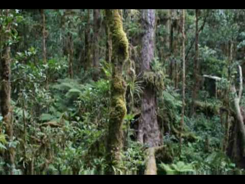 Part 2: Biodiversity and the extinction crisis