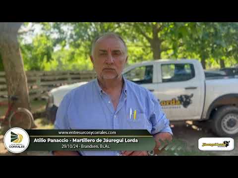 29-10-24 - Atilio Panaccio - Martillero de Jáuregui Lorda Haciendas -  Brandsen, Bs.As.