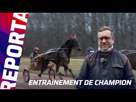 IDÉALE DU CHÊNE, EN ROUTE VERS LE PRIX DE CORNULIER (Gr.1) | Reportage chez Julien Le Mer