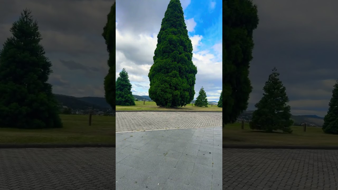 YouTube Short thumbnail