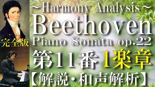 Download lagu 【和声解説】ベートーヴェン《ピアノソナタ第11番 op.22 第1楽章Allegro con brio》Beethoven, Piano Sonata No.11 op.22 1st mouvemen mp3 Download lagu 【和声解説】ベートーヴェン《ピアノソナタ第11番 op.22 第1楽章Allegro con brio》Beethoven, Piano Sonata No.11 op.22 1st mouvemen mp3