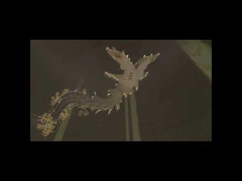 Silver's Favorite VGM #629 - Molgera