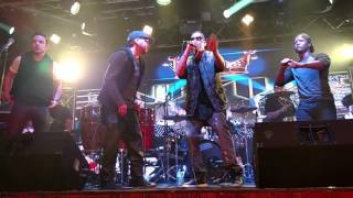Reggae Kumbia Los EnVivo Kings