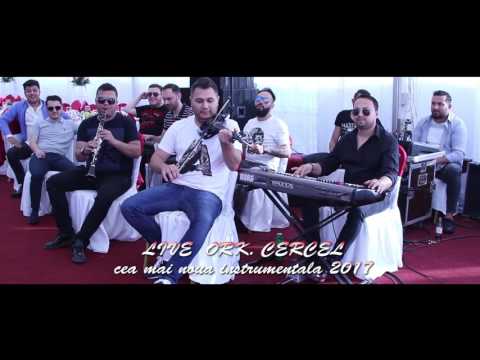 Formatia Ionut Cercel - Instrumentala "Kiss me" | LIVE