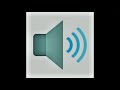 Crickets Sound Effect