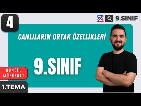 Canlıların Ortak Özellikleri