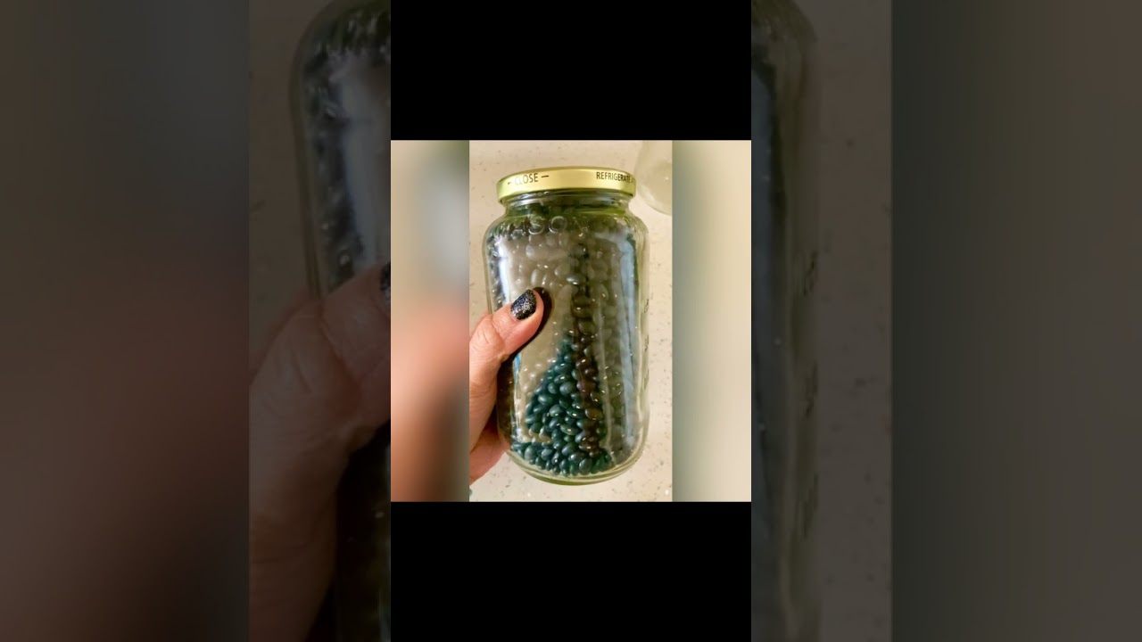 Plastic-Free Food Storage Containers #Shorts