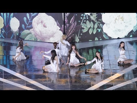 190518 드림콘서트 오마이걸(OH MY GIRL) - 다섯 번째 계절 직캠