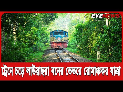 লাউয়াছড়ার ভেতর দিয়ে ট্রেন, যেভাবে উপভোগ করে পর্যটকরা