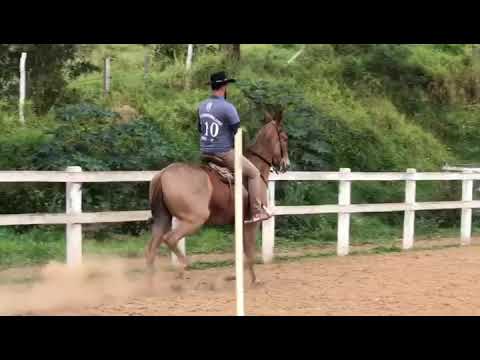 Thiago leal com Tiêta do Kako