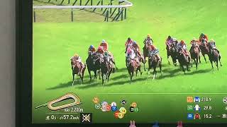【競馬実況動画2026】ダービートライアル 第74回京都新聞杯 コンジェスタス（西村淳也）