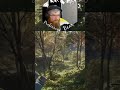 DO PEOPLE ACTUALLY HUNT ROE DEER COTW Professorbear 51015 On Twitch